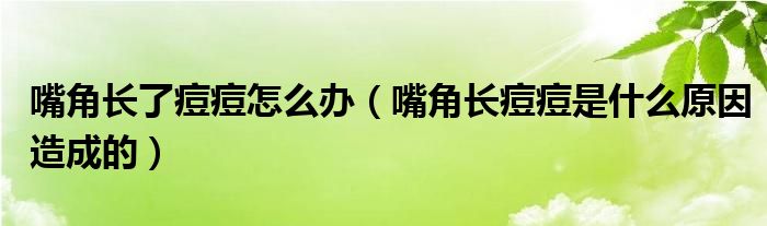嘴角長了痘痘怎么辦（嘴角長痘痘是什么原因造成的）
