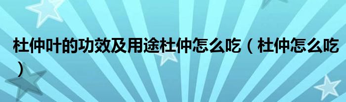 杜仲葉的功效及用途杜仲怎么吃（杜仲怎么吃）
