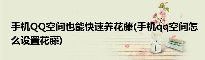 手機(jī)QQ空間也能快速養(yǎng)花藤(手機(jī)qq空間怎么設(shè)置花藤)