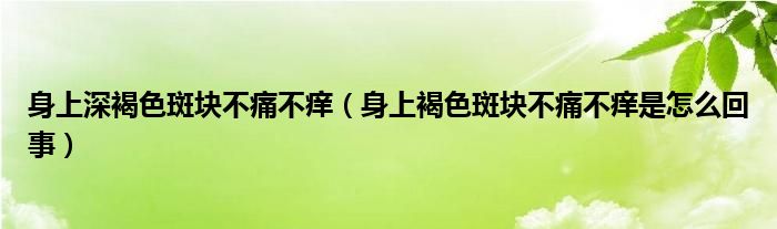 身上深褐色斑塊不痛不癢（身上褐色斑塊不痛不癢是怎么回事）