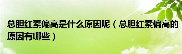 總膽紅素偏高是什么原因呢（總膽紅素偏高的原因有哪些）