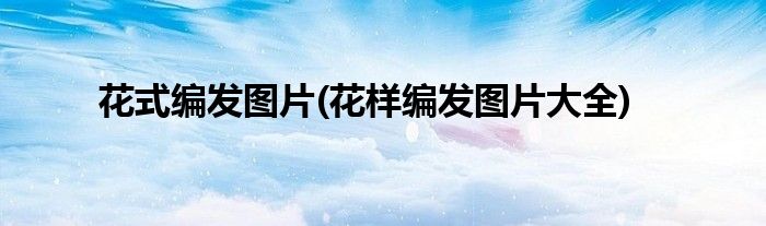 花式編發(fā)圖片(花樣編發(fā)圖片大全)