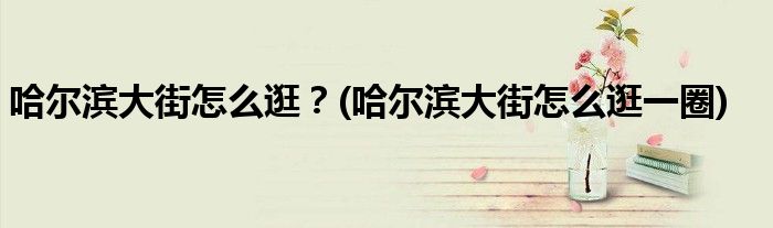 哈爾濱大街怎么逛？(哈爾濱大街怎么逛一圈)