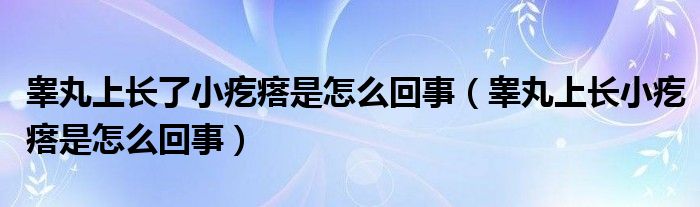 睪丸上長了小疙瘩是怎么回事（睪丸上長小疙瘩是怎么回事）