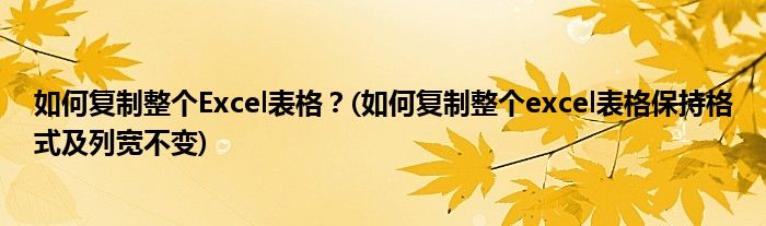 如何復制整個Excel表格？(如何復制整個excel表格保持格式及列寬不變)