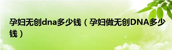 孕婦無創(chuàng)dna多少錢（孕婦做無創(chuàng)DNA多少錢）