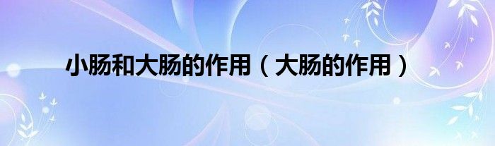 小腸和大腸的作用（大腸的作用）