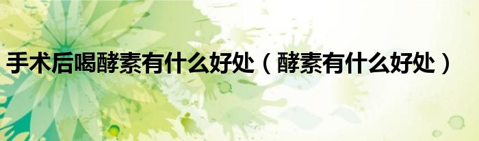 手術后喝酵素有什么好處(酵素有什么好處)