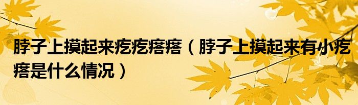 脖子上摸起來疙疙瘩瘩（脖子上摸起來有小疙瘩是什么情況）