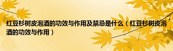 紅豆杉樹皮泡酒的功效與作用及禁忌是什么（紅豆杉樹皮泡酒的功效與作用）