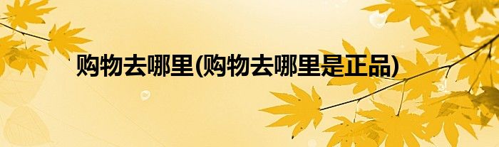購物去哪里(購物去哪里是正品)