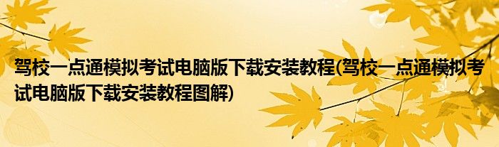 駕校一點通模擬考試電腦版下載安裝教程(駕校一點通模擬考試電腦版下載安裝教程圖解)