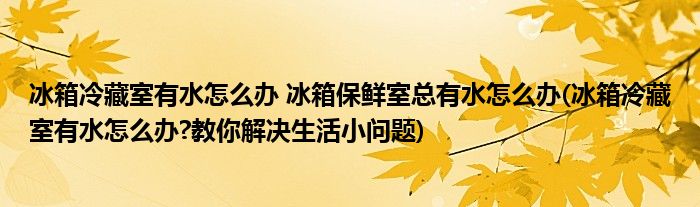 冰箱冷藏室有水怎么辦 冰箱保鮮室總有水怎么辦(冰箱冷藏室有水怎么辦?教你解決生活小問(wèn)題)