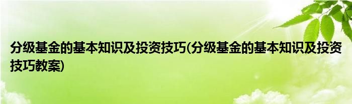 分級(jí)基金的基本知識(shí)及投資技巧(分級(jí)基金的基本知識(shí)及投資技巧教案)