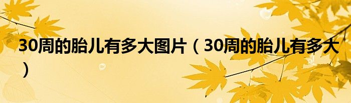 30周的胎兒有多大圖片（30周的胎兒有多大）