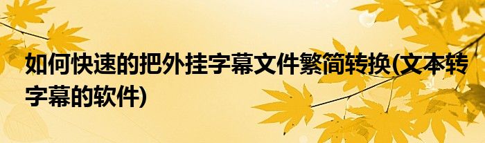 如何快速的把外掛字幕文件繁簡(jiǎn)轉(zhuǎn)換(文本轉(zhuǎn)字幕的軟件)
