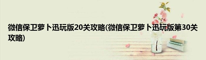 微信保衛(wèi)蘿卜迅玩版20關(guān)攻略(微信保衛(wèi)蘿卜迅玩版第30關(guān)攻略)
