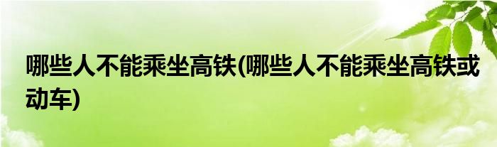 哪些人不能乘坐高鐵(哪些人不能乘坐高鐵或動車)