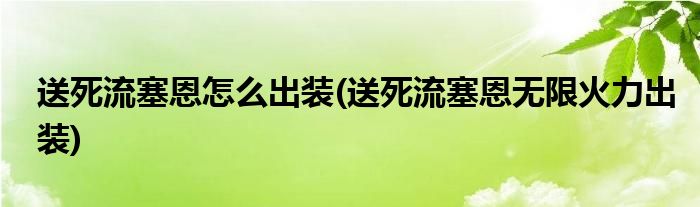送死流塞恩怎么出裝(送死流塞恩無限火力出裝)