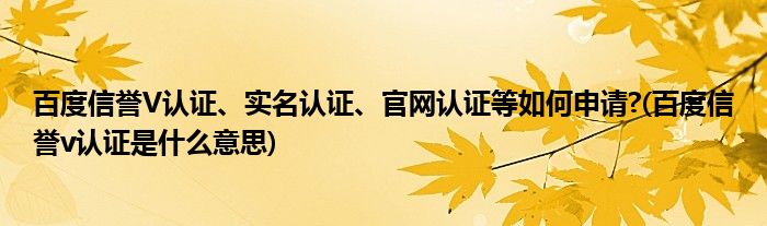 百度信譽(yù)V認(rèn)證、實(shí)名認(rèn)證、官網(wǎng)認(rèn)證等如何申請(qǐng)?(百度信譽(yù)v認(rèn)證是什么意思)