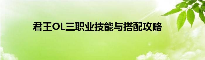君王OL三職業(yè)技能與搭配攻略