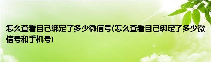 怎么查看自己綁定了多少微信號(hào)(怎么查看自己綁定了多少微信號(hào)和手機(jī)號(hào))