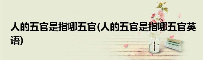 人的五官是指哪五官(人的五官是指哪五官英語)