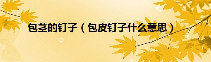 包莖的釘子(包皮釘子什么意思)