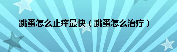 跳蚤怎么止癢最快（跳蚤怎么治療）