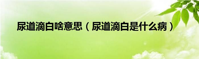 尿道滴白啥意思（尿道滴白是什么?。? /></span>
		<span id=