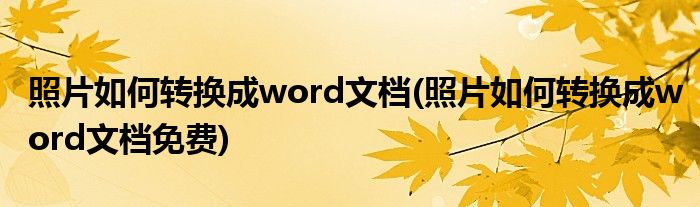照片如何轉換成word文檔(照片如何轉換成word文檔免費)