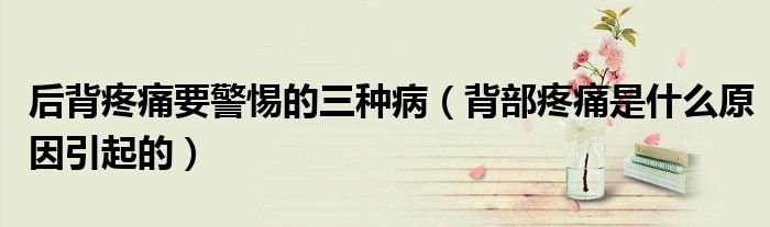 后背疼痛要警惕的三種?。ū巢刻弁词鞘裁丛蛞鸬模?class='thumb lazy' /></a>
		    <header>
		<h2><a  href=