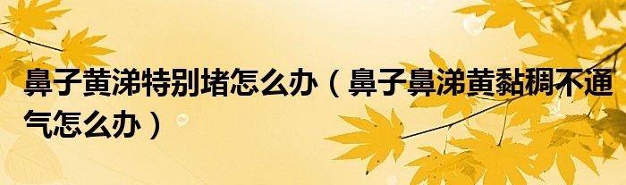 鼻子黃涕特別堵怎么辦(鼻子鼻涕黃黏稠不通氣怎么辦)