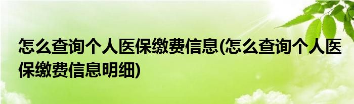 怎么查詢個(gè)人醫(yī)保繳費(fèi)信息(怎么查詢個(gè)人醫(yī)保繳費(fèi)信息明細(xì))