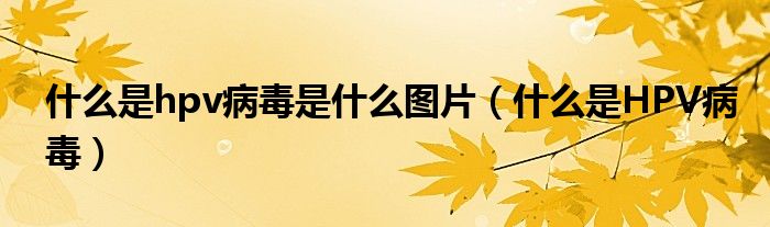 什么是hpv病毒是什么圖片（什么是HPV病毒）