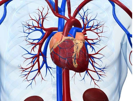 CABG 在糖尿病合并多支血管疾病中的應(yīng)用不足