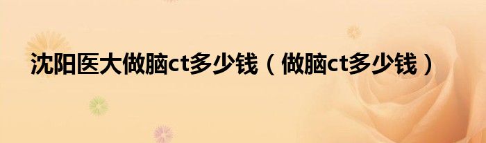 沈陽醫(yī)大做腦ct多少錢（做腦ct多少錢）