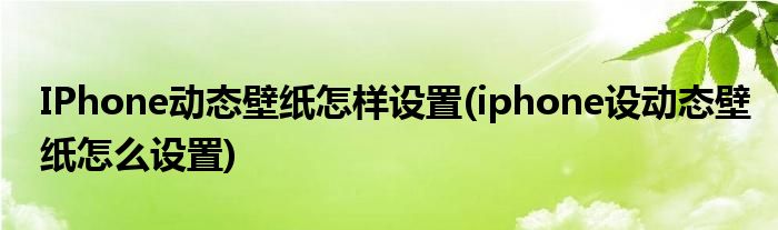 IPhone動(dòng)態(tài)壁紙?jiān)鯓釉O(shè)置(iphone設(shè)動(dòng)態(tài)壁紙?jiān)趺丛O(shè)置)