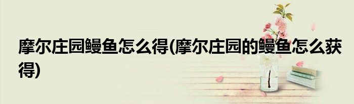 摩爾莊園鰻魚(yú)怎么得(摩爾莊園的鰻魚(yú)怎么獲得)