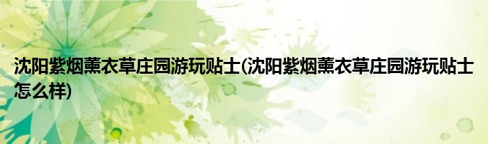 沈陽(yáng)紫煙薰衣草莊園游玩貼士(沈陽(yáng)紫煙薰衣草莊園游玩貼士怎么樣)