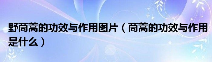野茼蒿的功效與作用圖片（茼蒿的功效與作用是什么）