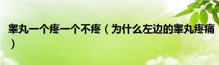 睪丸一個(gè)疼一個(gè)不疼（為什么左邊的睪丸疼痛）