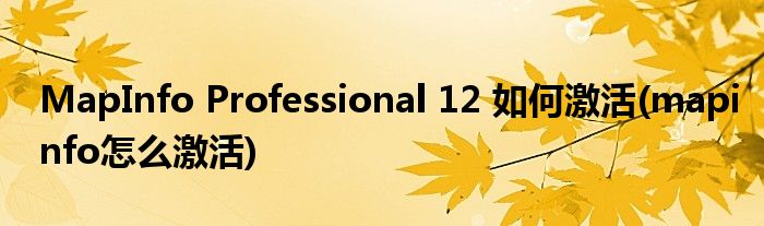 MapInfo Professional 12 如何激活(mapinfo怎么激活)