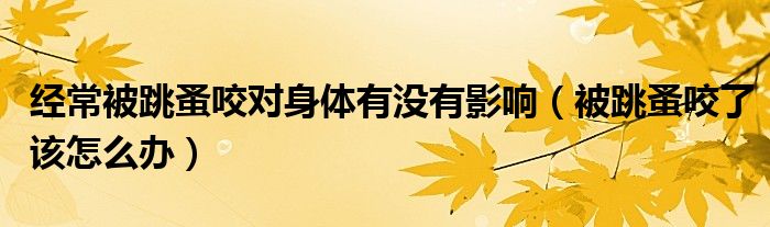 經(jīng)常被跳蚤咬對(duì)身體有沒(méi)有影響（被跳蚤咬了該怎么辦）
