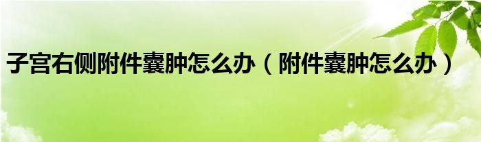子宮右側(cè)附件囊腫怎么辦(附件囊腫怎么辦)