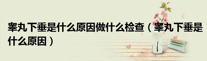 睪丸下垂是什么原因做什么檢查(睪丸下垂是什么原因)