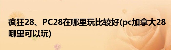瘋狂28、PC28在哪里玩比較好(pc加拿大28哪里可以玩)
