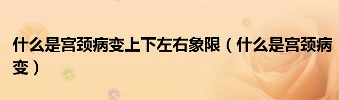 什么是宮頸病變上下左右象限（什么是宮頸病變）