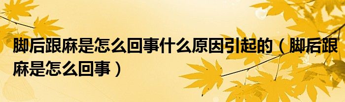 腳后跟麻是怎么回事什么原因引起的(腳后跟麻是怎么回事)