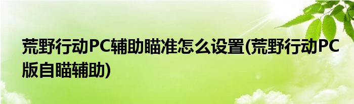 荒野行動(dòng)PC輔助瞄準(zhǔn)怎么設(shè)置(荒野行動(dòng)PC版自瞄輔助)
